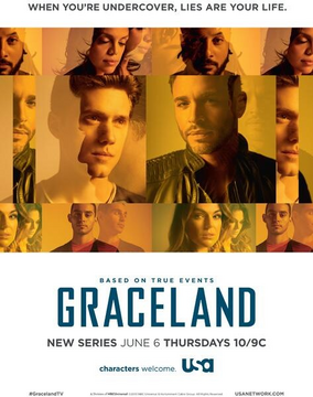 Season 1 | Graceland Wiki | Fandom
