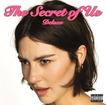 The Secret Of Us レコード gracie abrams Amazon.com: The Secret of Us[Deluxe Transparent Moonlight 2