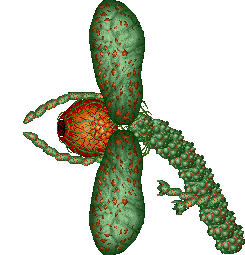 Choking - Wikipedia