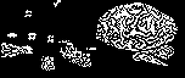 Salamander (ZX Spectrum)