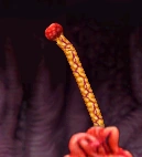 Roam.png (15 KB) Roam (Gradius IV)