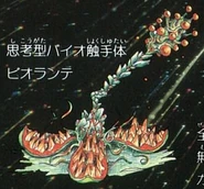 Biorante.jpg (101 KB) Biorante