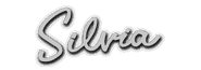 The vehicle banner as it appears in Gran Turismo 4.