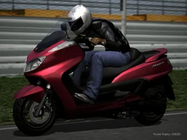 Yamaha Grand Majesty 250