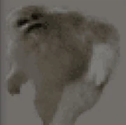The Yeti texture