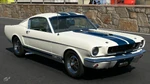 GT350 - I. Holland