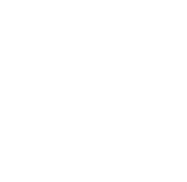 Citroën Logo