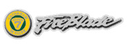 The vehicle banner as it appears in GT4.