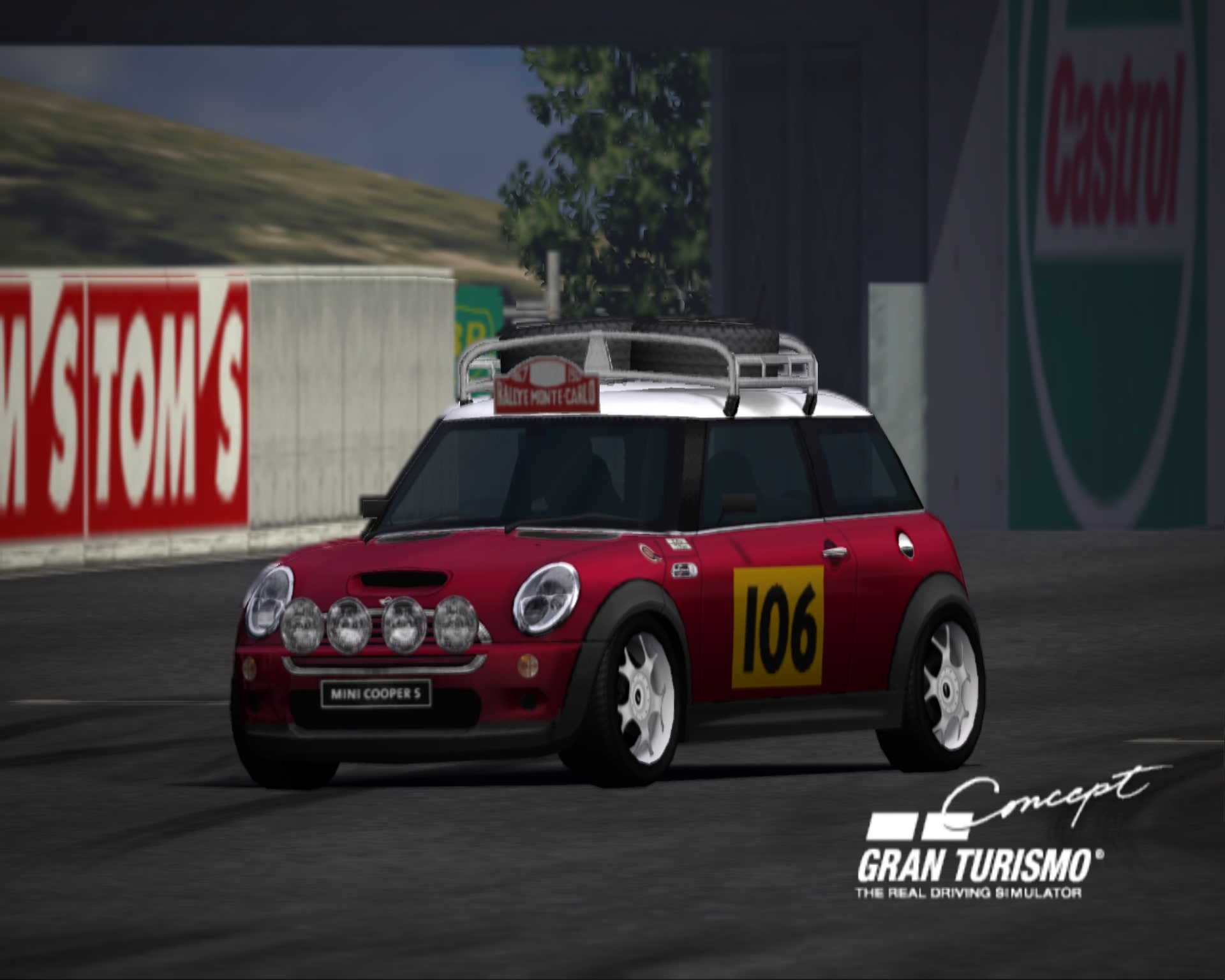 Mini rally sale car