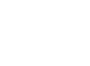 Toyota Logo