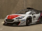 Peugeot RCZ Gr.3