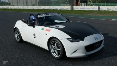 GT Sport Cup Livery #1