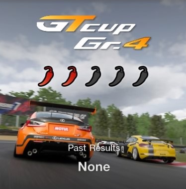 INTENSE ONLINE RACE - GT SPORT 