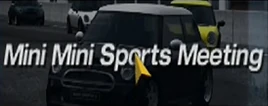 Mini Sports Meeting