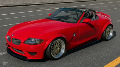 F. Hartman's livery in the BMW Z4 One-Make Special Event.