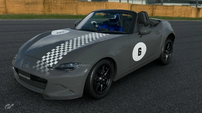 GT Sport Racing Stripe Livery #2
