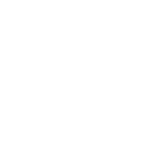 Volkswagen Logo