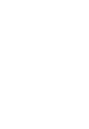 Super Formula Logo