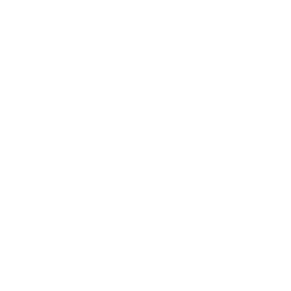 Autobianchi logo