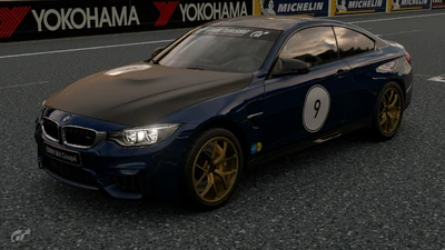 GT Sport Cup Livery.