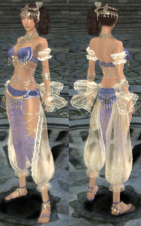 Belly Dancer Outfit