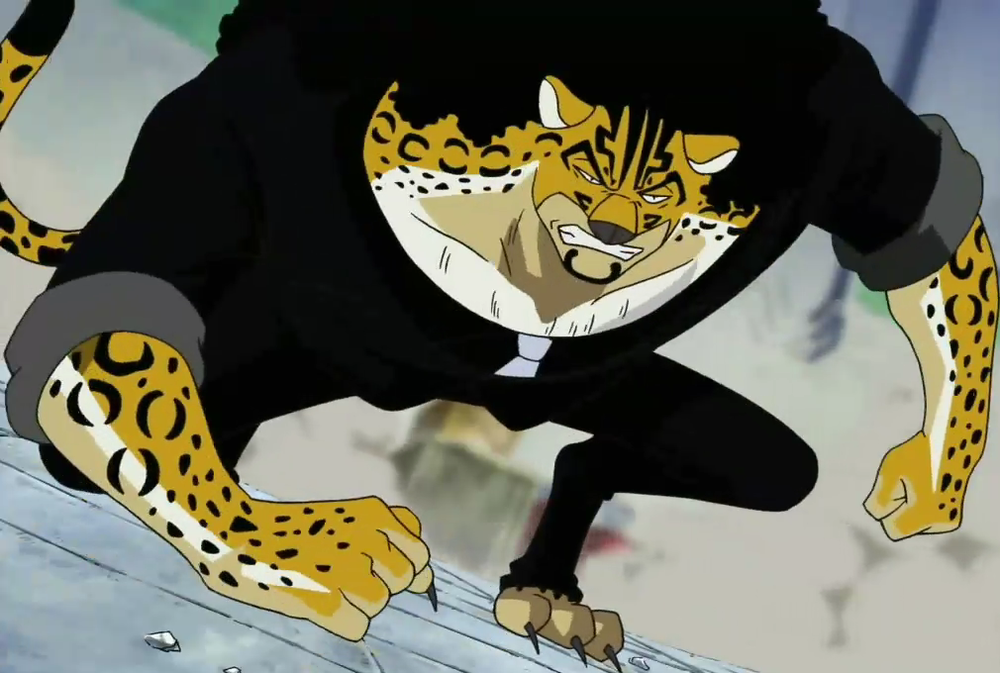 Realistic Devil Fruits #10 - Neko Neko no mi, Cat-Cat Fruit Model: Leopard  : r/OnePiece