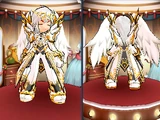 Celestial Guard Coordi Set