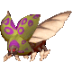 Scurvian Filhote