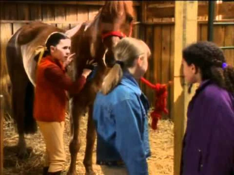 Une Jument Capricieuse Wiki Grandgalop Fandom