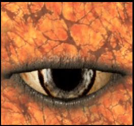 Spelleye