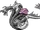 Hot Head (Serpent)