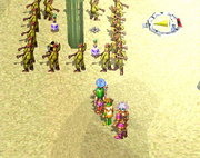 Dancing Cactus men
