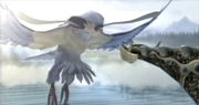 Gryph.png