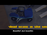 Dead Skunk in the Trunk
