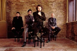 TGT Hothouse Flowers