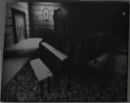 The painting of the piano.