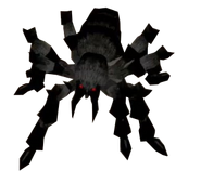 The Spider's Appearance. (1.5)
