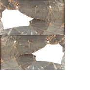 The Shed's Window's texture.