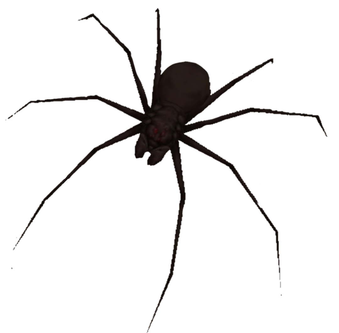 Spider Granny Wiki Fandom - roblox kindly keyin spider