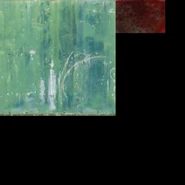 The Bear Trap's texture.