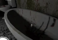 Piece #1, found in the bathtub.