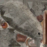 The Spectral Rat's texture.
