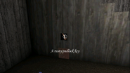 The Rusty Padlock Key in the Secret Area Bottom Floor on preset #1.
