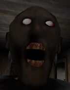 Glitches (236 KB) Glitches