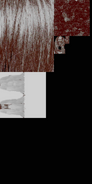 The textures used for the Slendrina's Mother. (Nightmare)