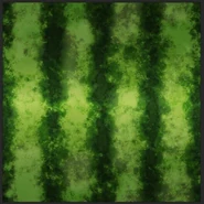 The Melon's texture. (Crust)