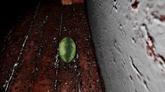 The "duct tape" that appears on the Melon.