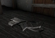 IMG 5659.jpeg (1,004 KB) Pieces of the Unstable Flooring.