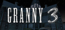 Steam Header