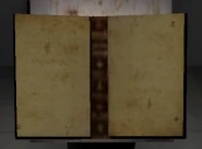 The open Book, after being placed on the Lectern. It's empty.